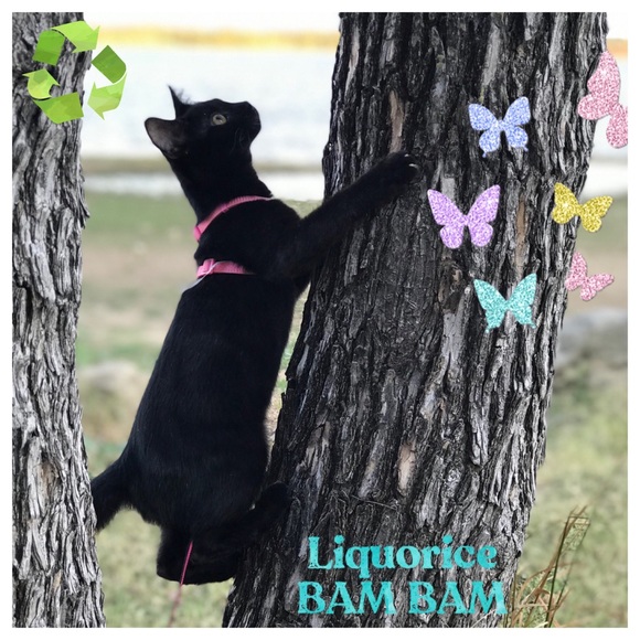 Welcome!Thanks For Stopping By! - Picture 3 of 7